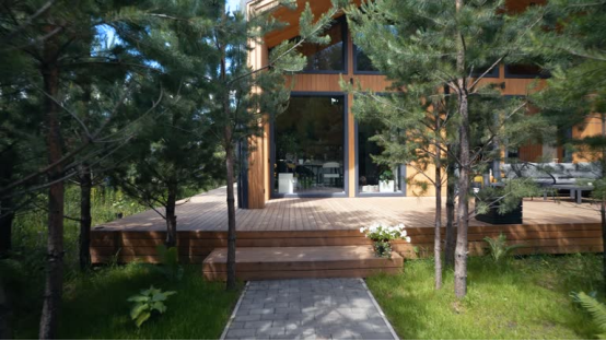 Wooden house surrounded by natural lawn and trees (a wild patch area suited for eco-friendly lawn care).