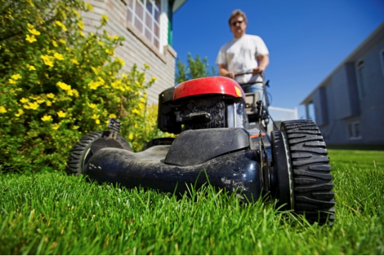 A gas mower’s rumble contrasts with an electric mower’s quiet hum—unusual noises from your electric model signal a need for quick checks.