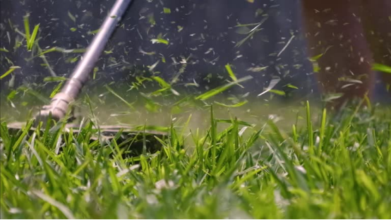 This electric lawn mower, cutting grass steadily, shows durable models are the true eco-choice beyond the first cut.